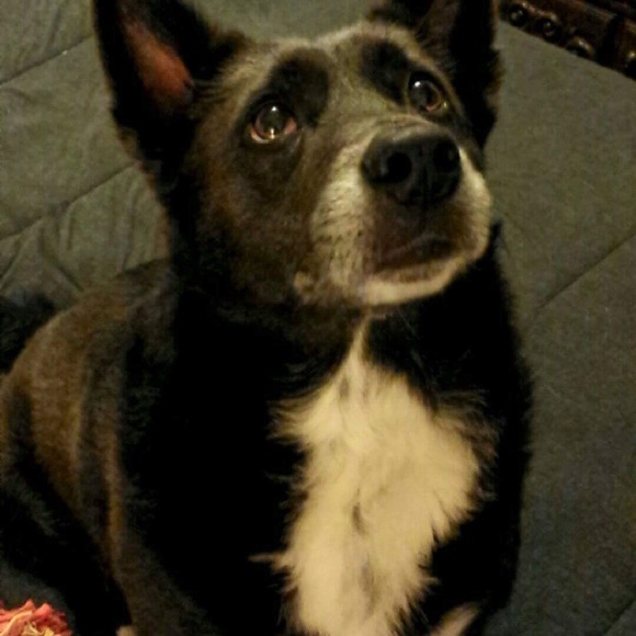 HELLO GORGEOUS! - Picture 7 of 14